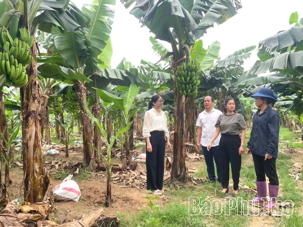 Hoàng Cương tạo đà bứt phá từ việc xác định đúng trọng tâm