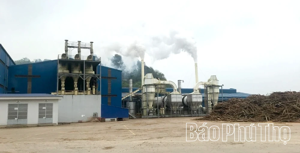 Hiện thực hóa Chiến lược quốc gia quản lý chất thải rắn