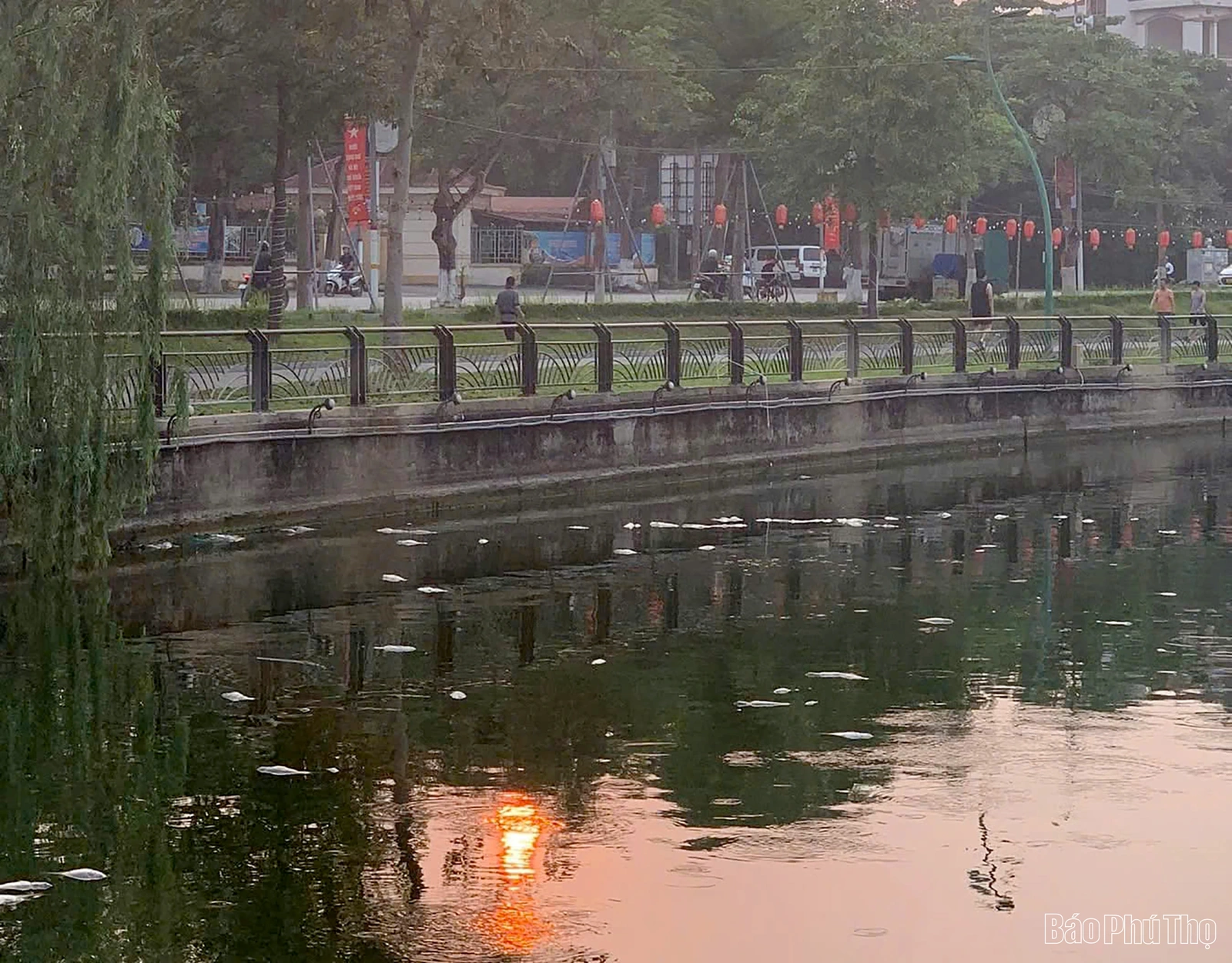 Khẩn trương xử lý tình trạng cá chết hàng loạt tại hồ Công viên Văn Lang