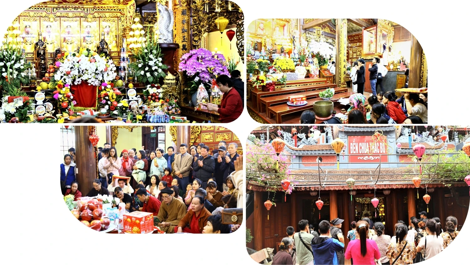 Trải nghiệm thiên nhiên, mây nước vùng hồ Hòa Bình