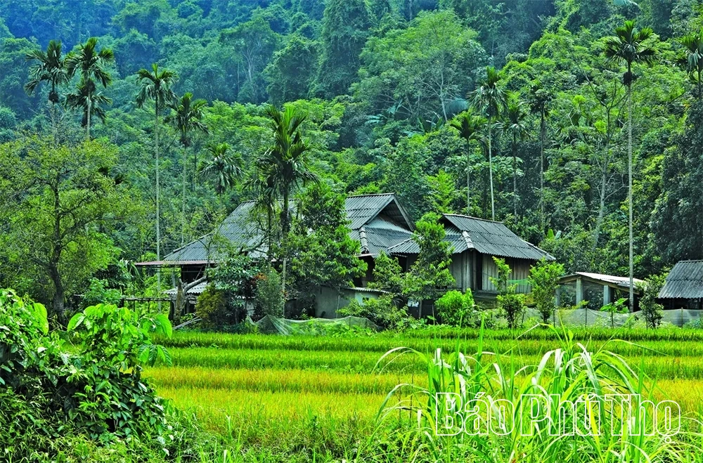 Thác Mu - Điểm hẹn du lịch cuối tuần