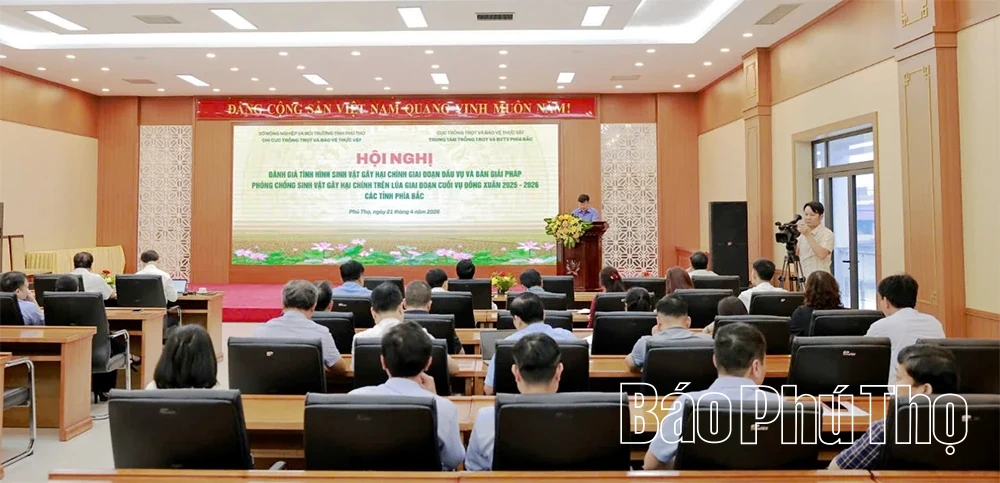 Bàn giải pháp phòng, chống sinh vật gây hại chính trên lúa Đông Xuân giai đoạn cuối vụ