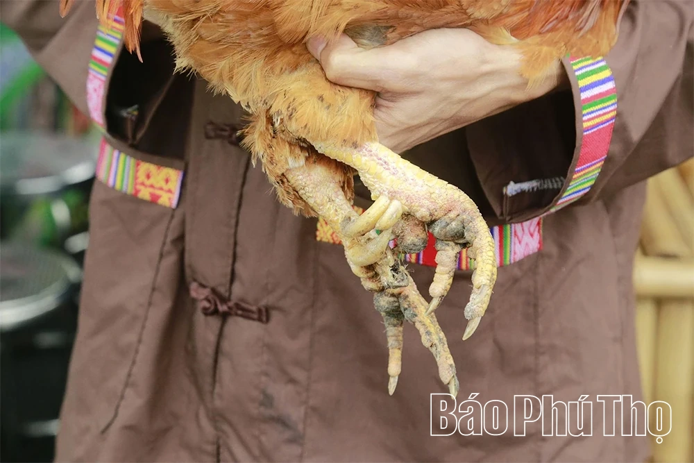 Người giữ lễ vật thời Hùng Vương giữa mùa Giỗ Tổ