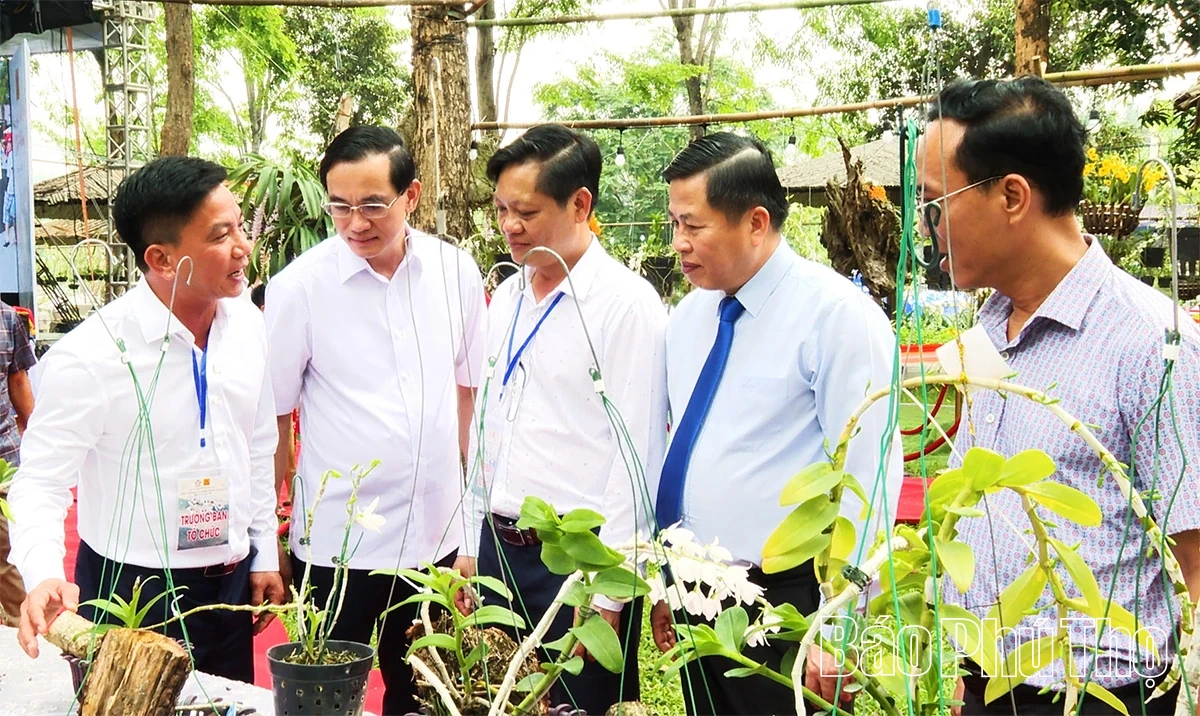 Khai mạc Triển lãm hoa lan nghệ thuật toàn quốc lần thứ III năm 2026