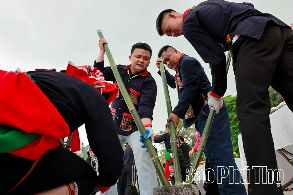 Thảo thơm tấm bánh dâng Vua