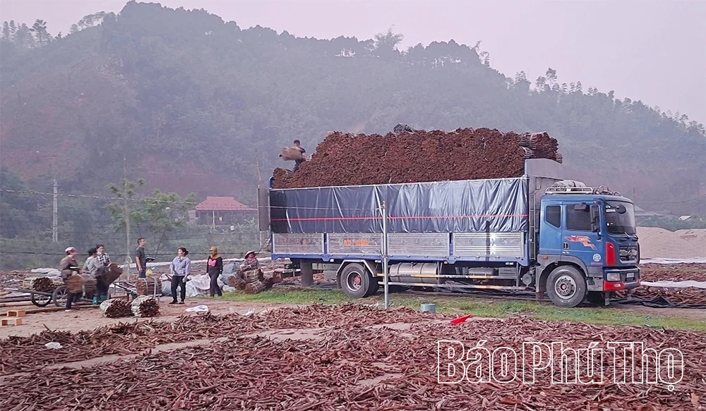 “Luồng gió mới” thay đổi diện mạo vùng cao