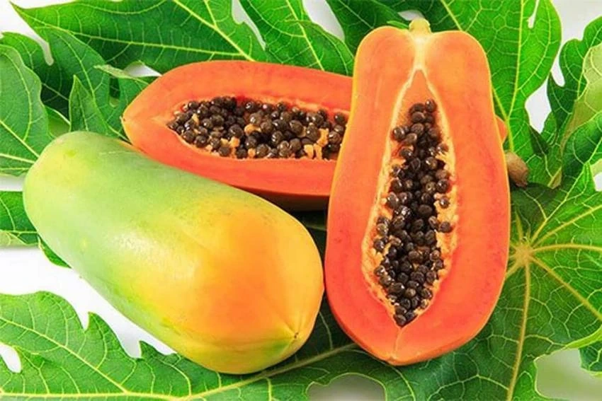 Giá cả thị trường ngày 24/4/2026