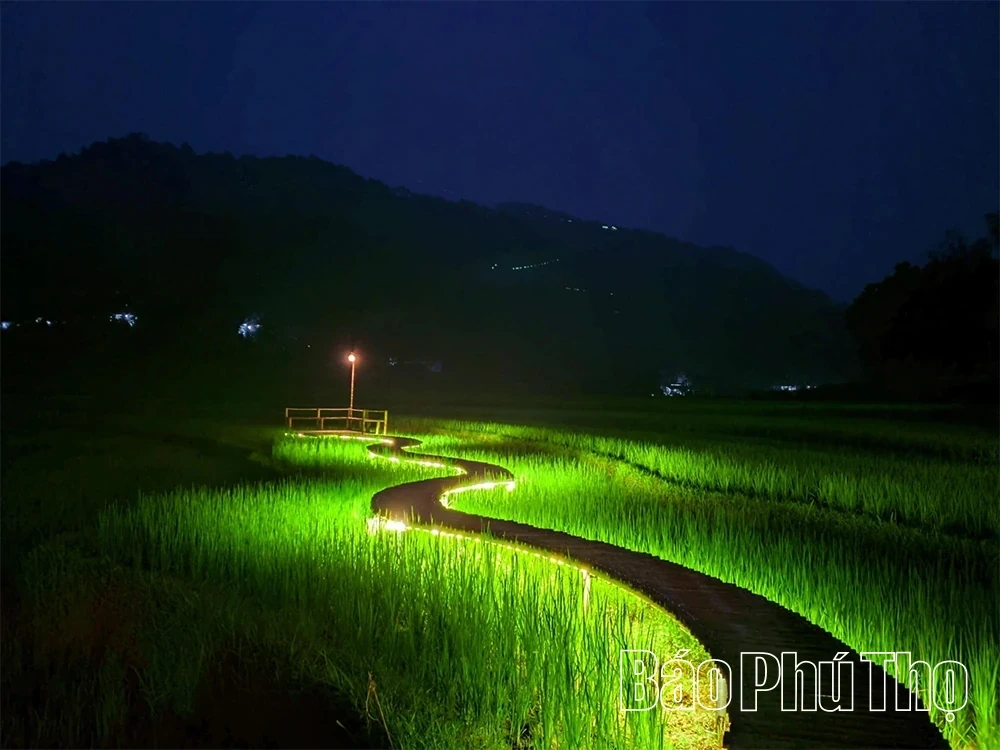 Exploring the Highlands: A Journey into the Mountains