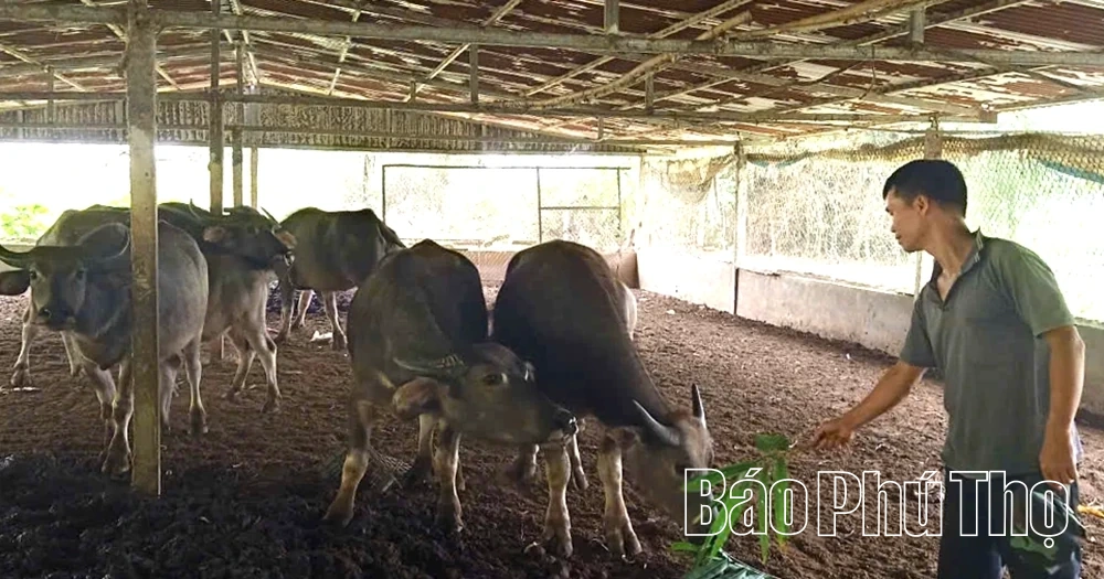 Góp thêm nguồn lực cho Liên Sơn phát triển