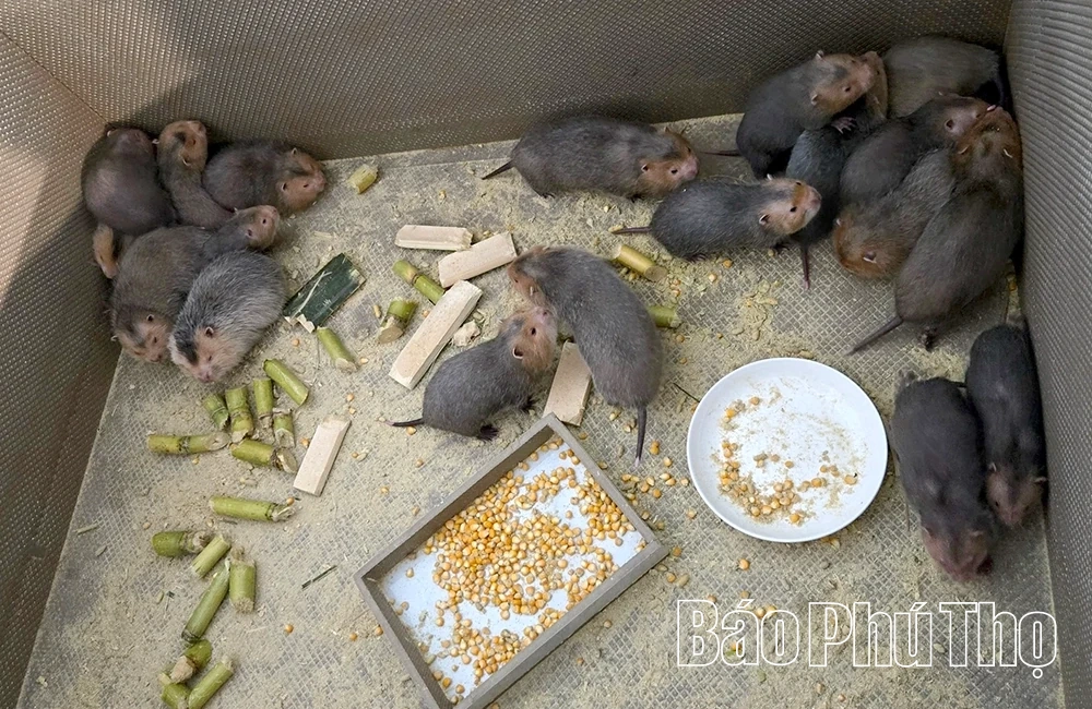 Quản lý chặt chẽ hoạt động nuôi nhốt động vật hoang dã