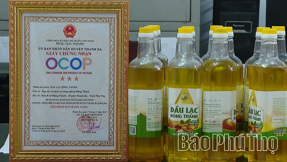 Đông Thành phát huy tiềm năng, thúc đẩy tăng trưởng bền vững