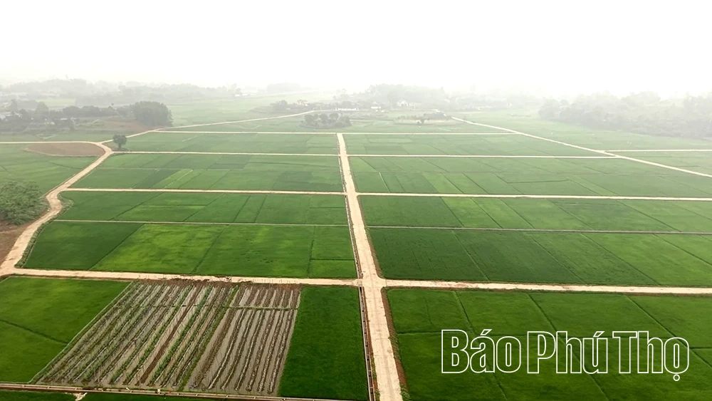 Đông Thành phát huy tiềm năng, thúc đẩy tăng trưởng bền vững