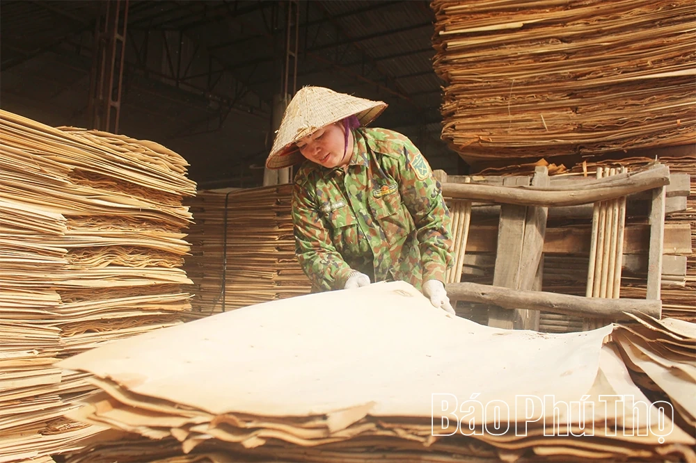 Hợp Lý - Nền tảng vững chắc từ công tác xây dựng Đảng