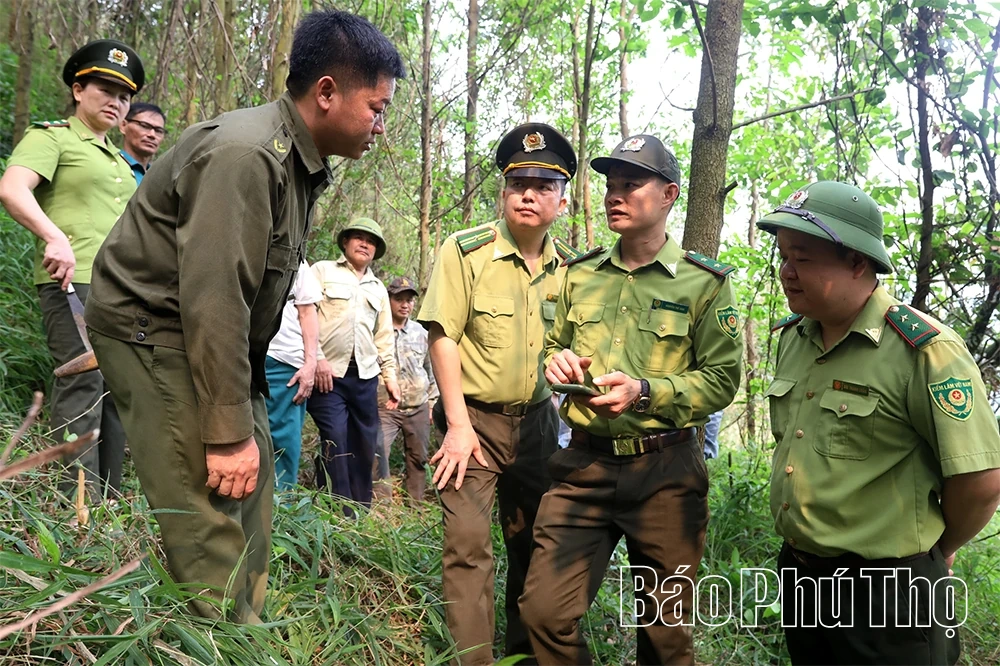 Kiểm lâm Kim Bôi - Khi lá chắn xanh dựa vào lòng dân