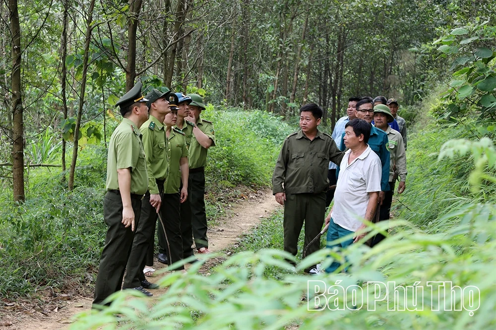 Kiểm lâm Kim Bôi - Khi lá chắn xanh dựa vào lòng dân