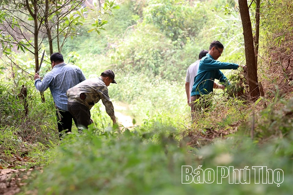 Kiểm lâm Kim Bôi - Khi lá chắn xanh dựa vào lòng dân