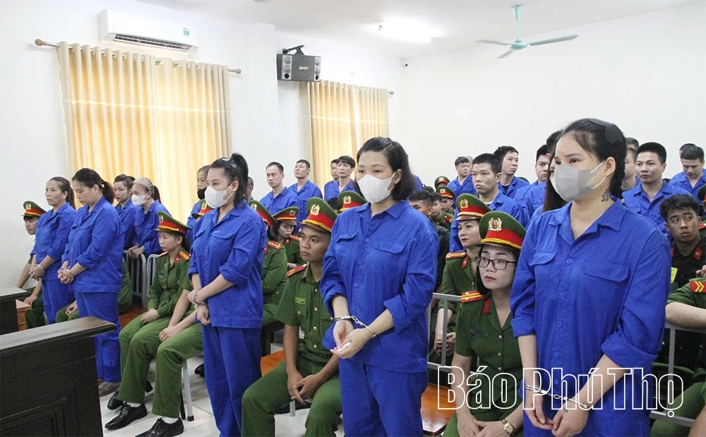 Nâng cao hiệu quả công tác phòng, chống và kiểm soát ma túy