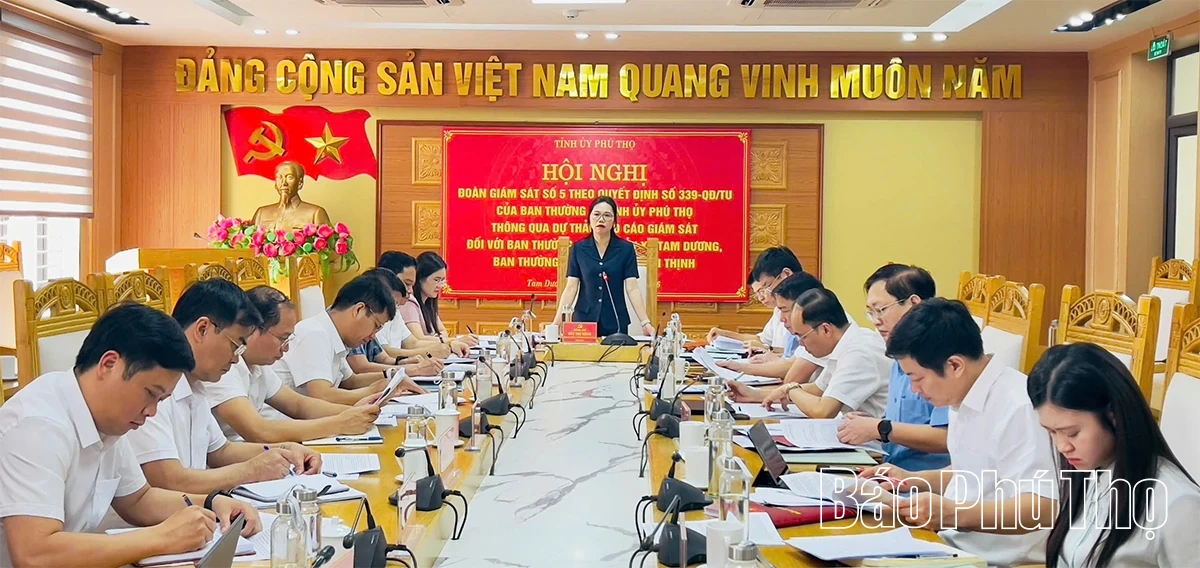 Giám sát đối với Ban Thường vụ Đảng ủy các xã Tam Dương và Hội Thịnh