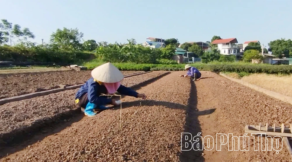 Kiểm soát chặt chẽ chất lượng vật tư nông nghiệp đầu vào
