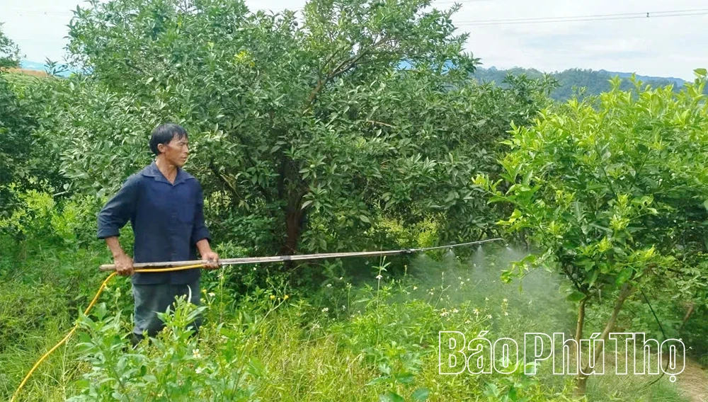 Kiểm soát chặt chẽ chất lượng vật tư nông nghiệp đầu vào