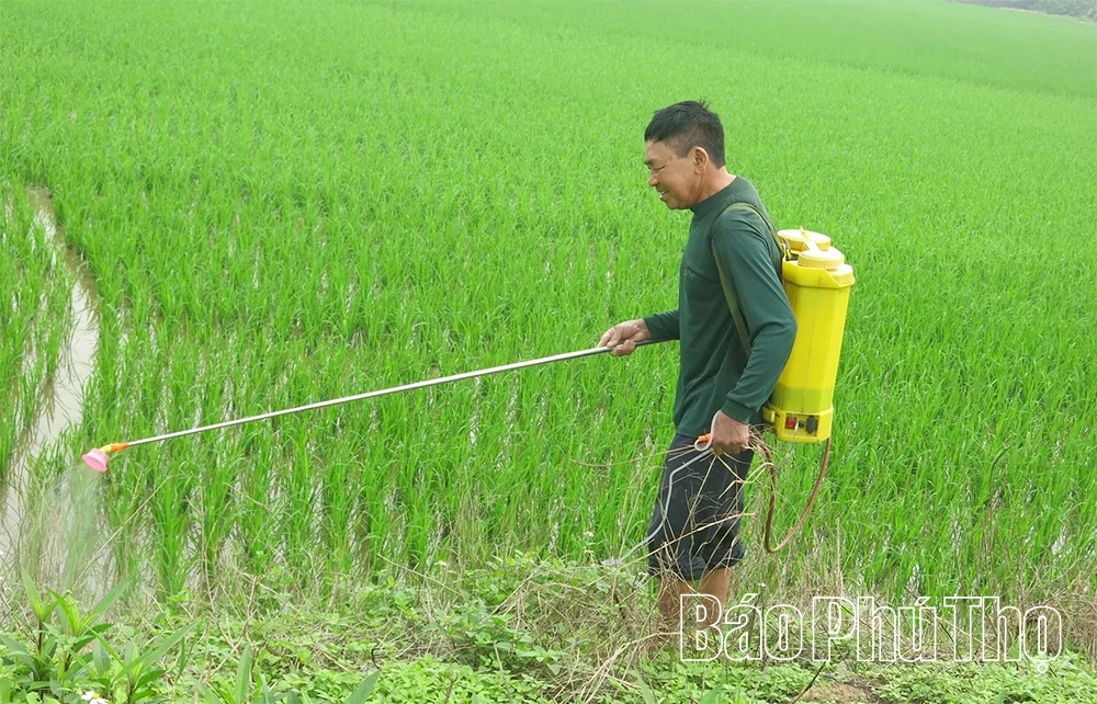 Kiểm soát chặt chẽ chất lượng vật tư nông nghiệp đầu vào