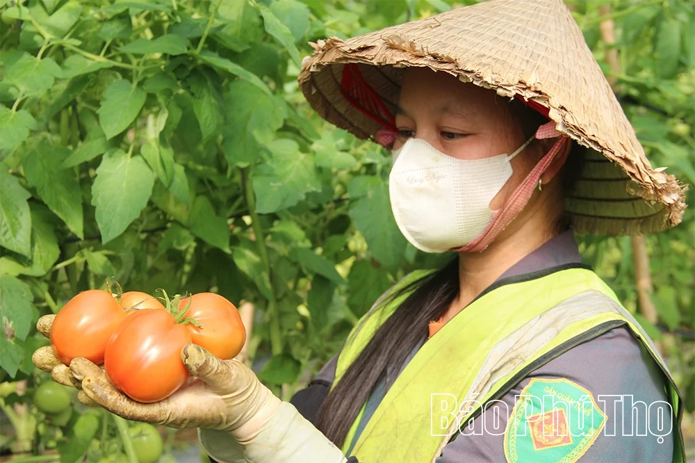 Thiết lập “kịch bản” tăng trưởng hai con số, tạo nền tảng cho chu kỳ phát triển mới của tỉnh