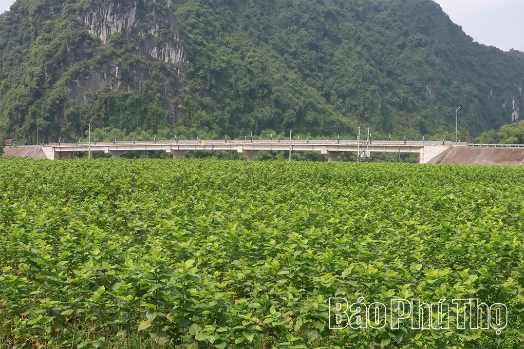 Độc đáo làng nghề ươm tơ, dệt lụa
