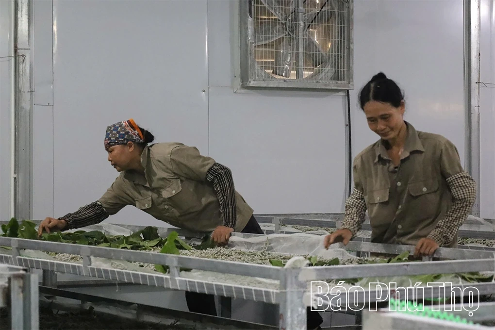 Độc đáo làng nghề ươm tơ, dệt lụa