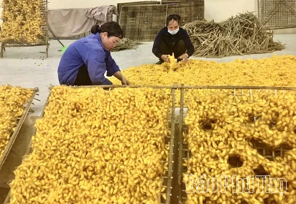 Độc đáo làng nghề ươm tơ, dệt lụa