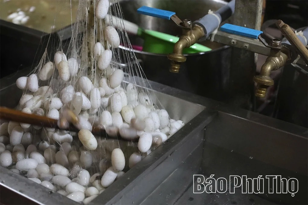 Độc đáo làng nghề ươm tơ, dệt lụa