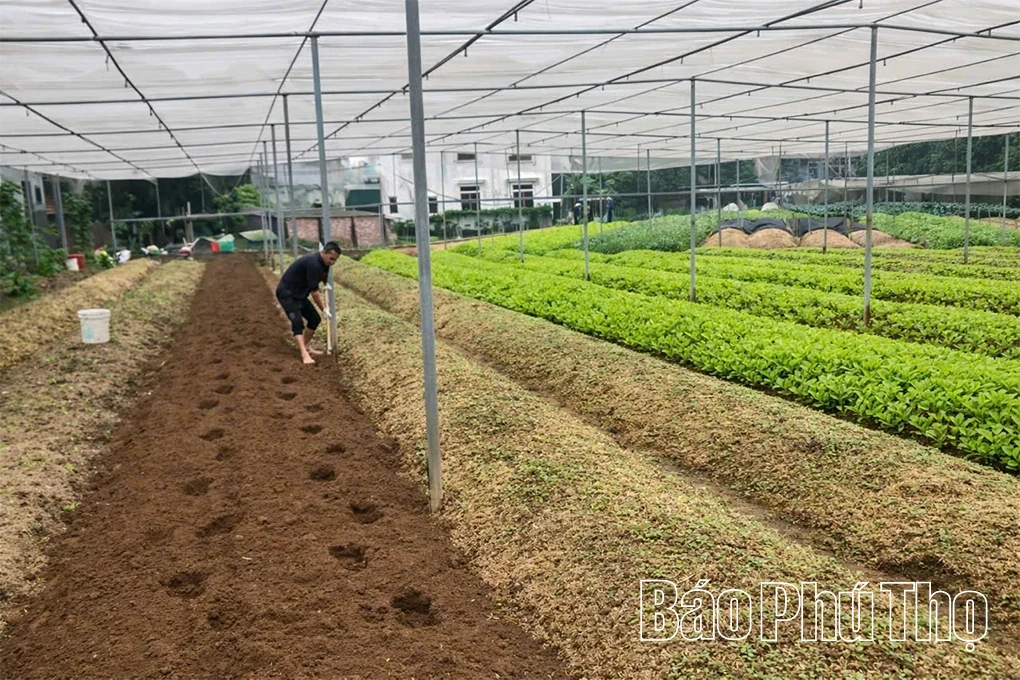 Bệ đỡ giúp nông dân vươn lên phát triển kinh tế