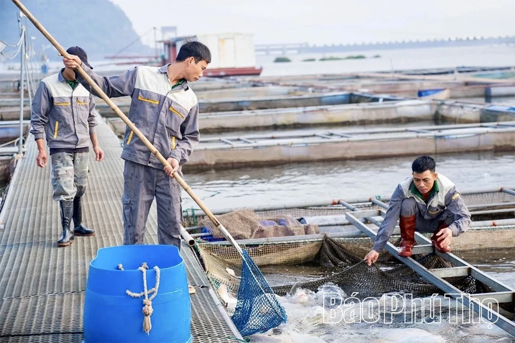Bài 2: Những điểm sáng của kinh tế xanh