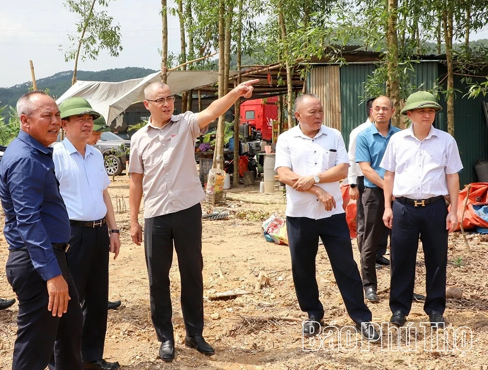 Tập trung tháo gỡ vướng mắc, tăng tốc các dự án giao thông trọng điểm khu vực Hòa Bình