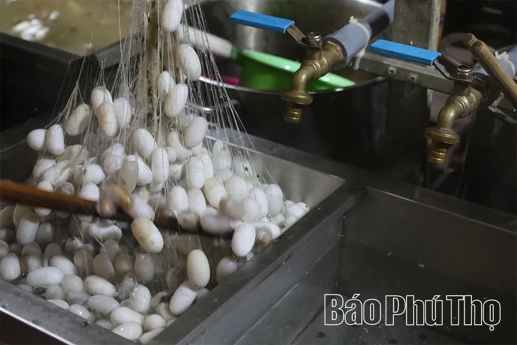 The Unique Craft of Silk Reeling and Weaving