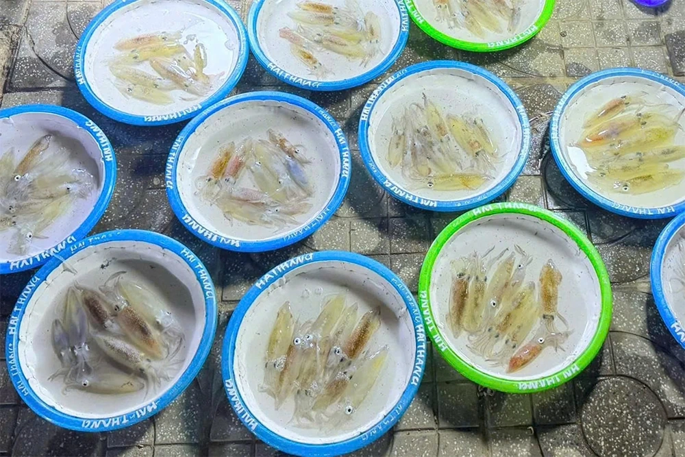 Chợ ven biển Cửa Lò chỉ bán đặc sản top 10 Việt Nam, đêm nào cũng kín khách