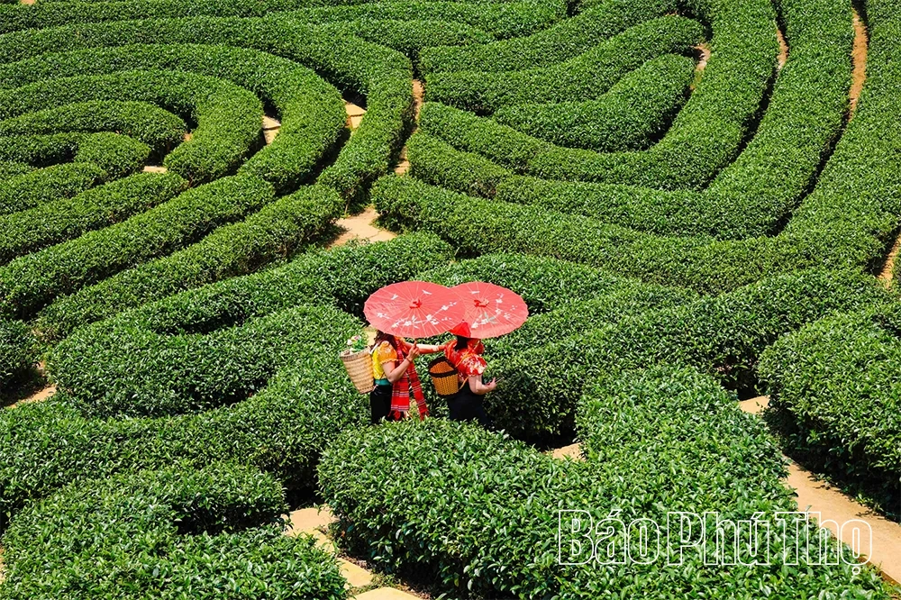 Âm vang Điện Biên giữa đại ngàn hôm nay