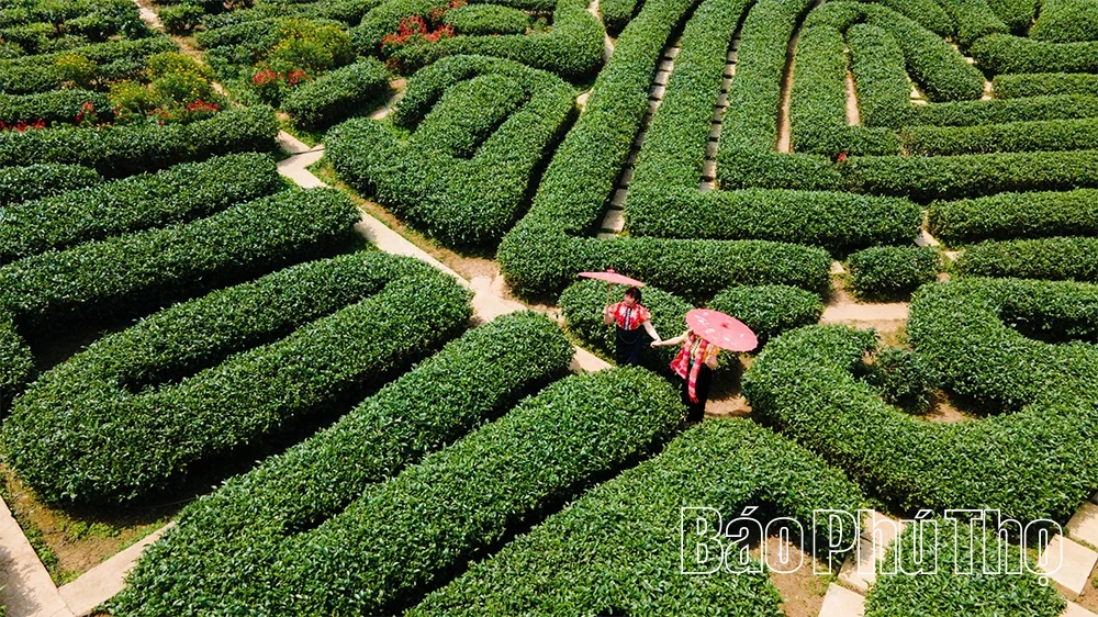 Âm vang Điện Biên giữa đại ngàn hôm nay