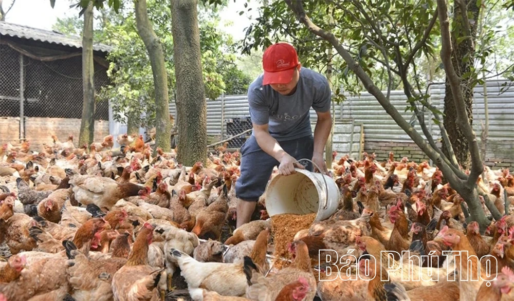 Kỳ I: Nền tảng vững, phát triển bền