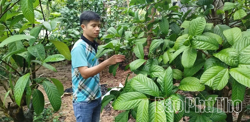Kỳ III: Động lực mới cho “tam nông”