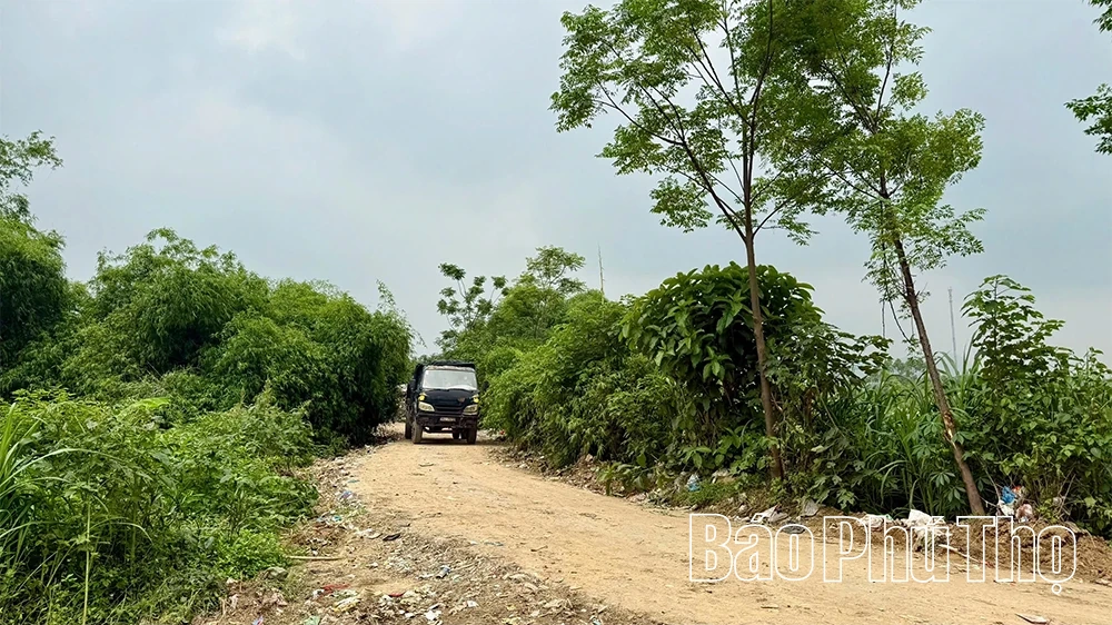 Đại Đình khẩn trương xử lý bãi rác quá tải