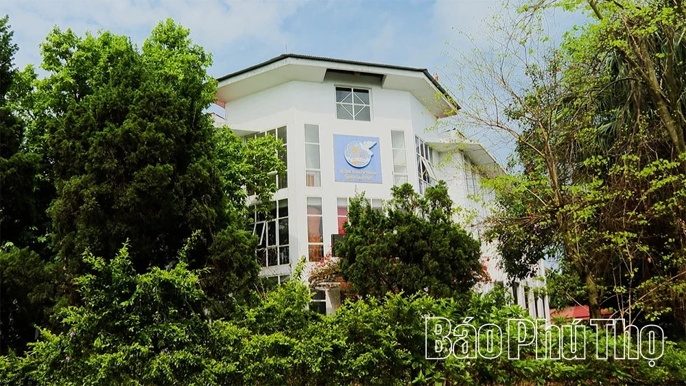 Đẩy nhanh xử lý tài sản công dôi dư sau sáp nhập, tránh lãng phí