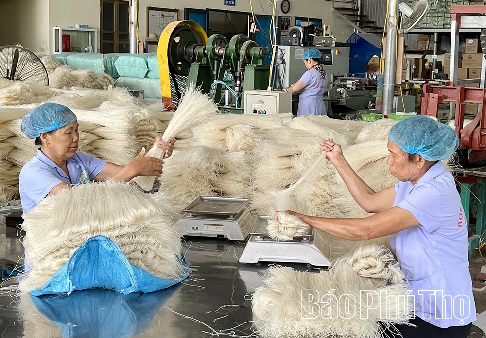 Nâng cao chất lượng sản phẩm OCOP sau công nhận