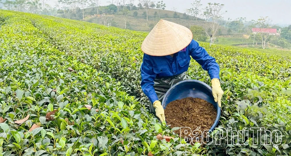 Nâng cao chất lượng sản phẩm OCOP sau công nhận