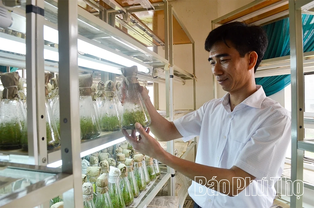 Thúc đẩy hệ sinh thái doanh nghiệp khoa học và công nghệ