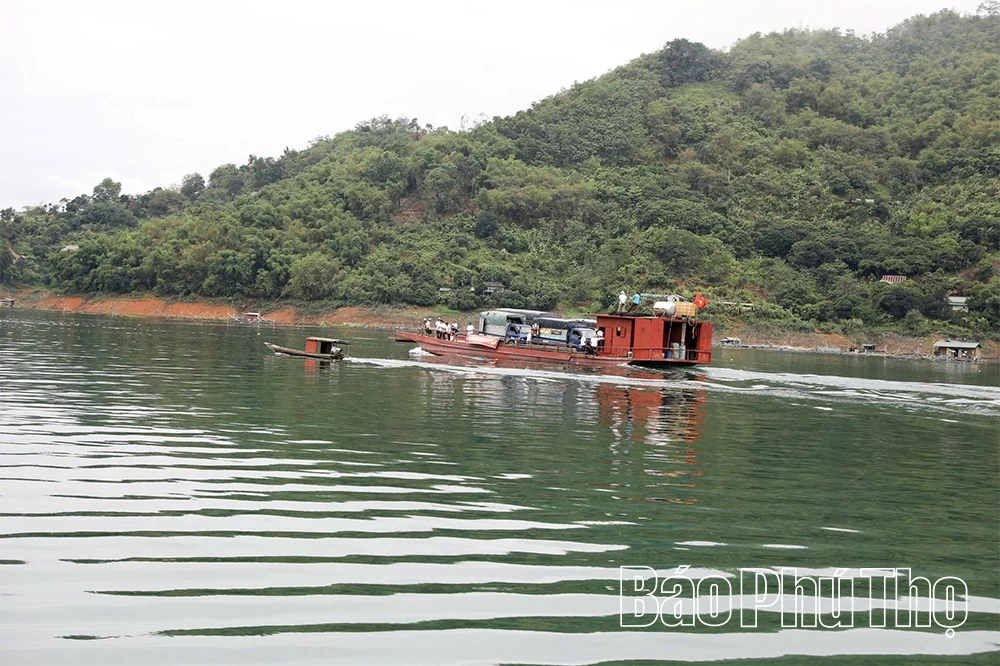 Thả hơn 3 tấn cá giống tái tạo nguồn lợi thủy sản hồ Hòa Bình