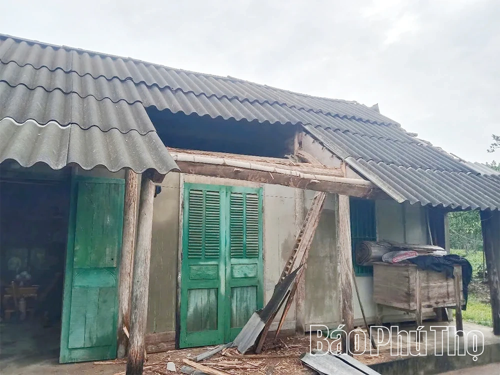 Nhiều địa phương bị thiệt hại do mưa, gió mạnh