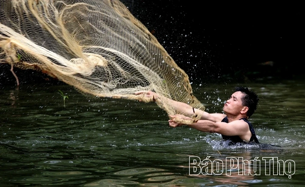 Ready for the Traditional Stream Fishing Festival in Toan Thang Commune