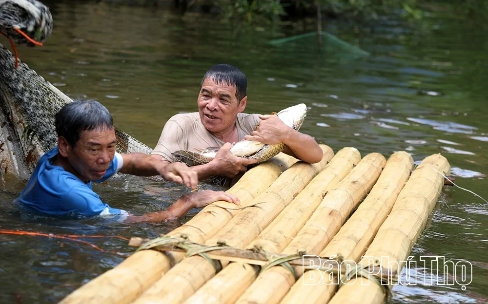 Ready for the Traditional Stream Fishing Festival in Toan Thang Commune