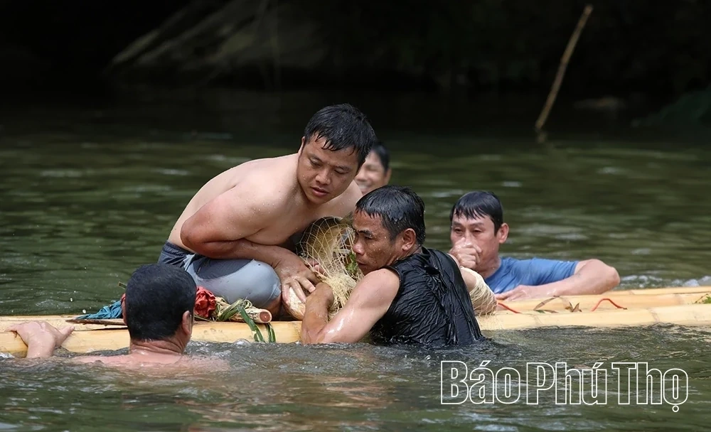 Ready for the Traditional Stream Fishing Festival in Toan Thang Commune
