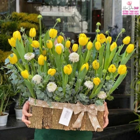 Shop Hoa Đẹp 360 Hoa Tulip Tươi Và Bó Hoa Sang Trọng Giao Nhanh 2H